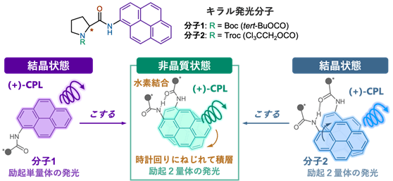 こする刺激を加えるとCPLの波長が長波長化する分子1と分子2