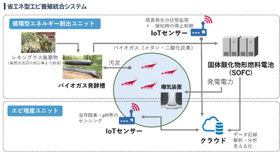 日本初！グリーンエネルギーとIoTを活用したエビ養殖に挑戦