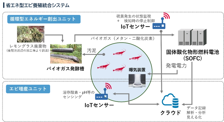 日本初！グリーンエネルギーとIoTを活用したエビ養殖に挑戦