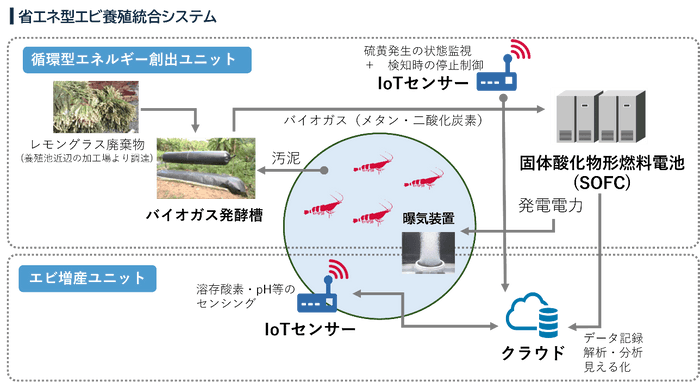 実証システムイメージ