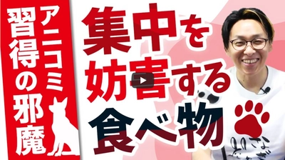 ＼業界No.1！これを見れば9割が話せるようになる！？／ YouTubeチャンネル「【動物と話そう】教えて、あつし先生!!」 アニコミ習得には食べ物が大事？！