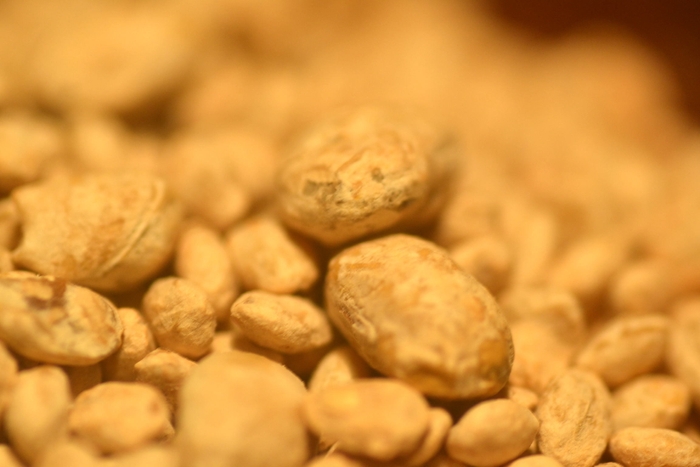 ひしお(麦麹、大豆麹)