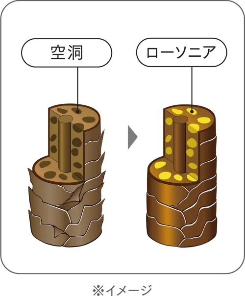特徴4. ヘンナ葉エキス配合