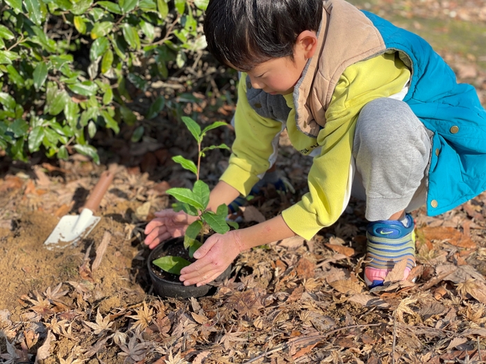 大きくなったら、一緒に植えるのも楽しみ