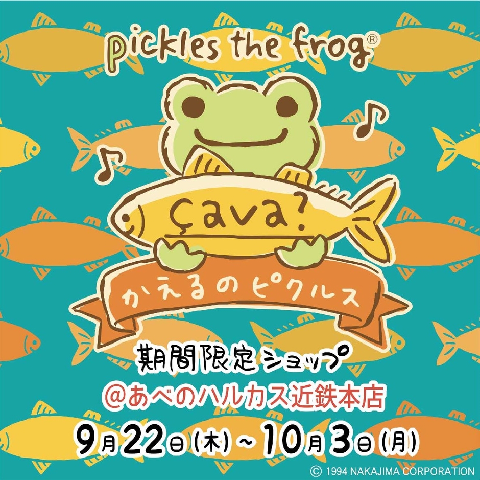 キービジュアル　çava?