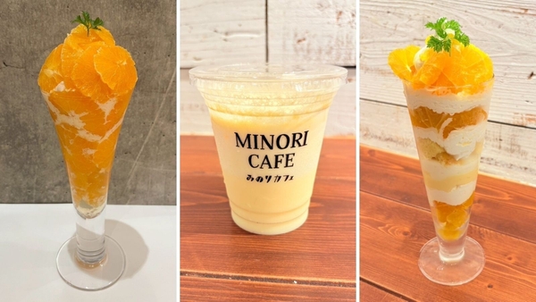 左から 北原早生パフェ ※フェア限定「北原早生」を増量して提供 (アミュプラザ博多店) 1,518円・北原早生のスムージー (福岡パルコ店) 649円・北原早生のソフトクリームパフェ (福岡パルコ店) 1,419円