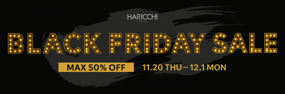 BLACK FRIDAY SALE
