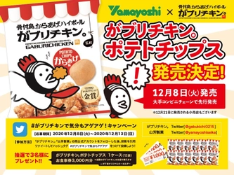 9年連続金賞受賞のからあげを再現！ 「がブリチキン。ポテトチップス からあげ味」 12月8日より販売スタート