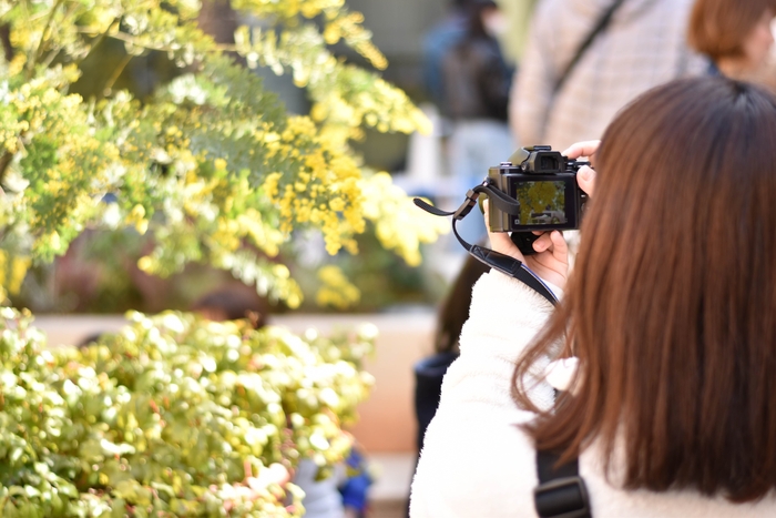 過去の実施風景