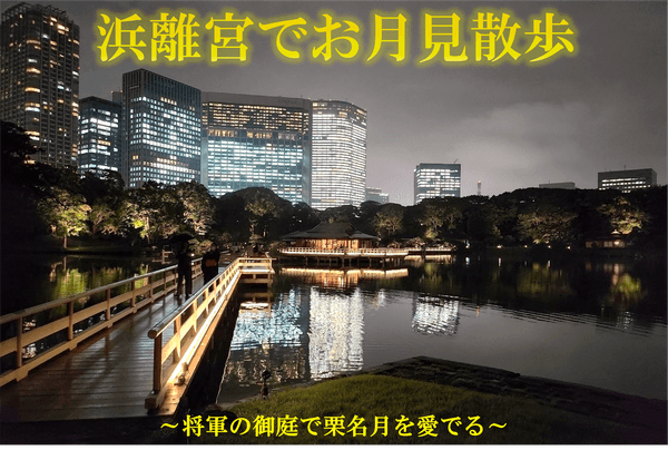 過去のライトアップの様子