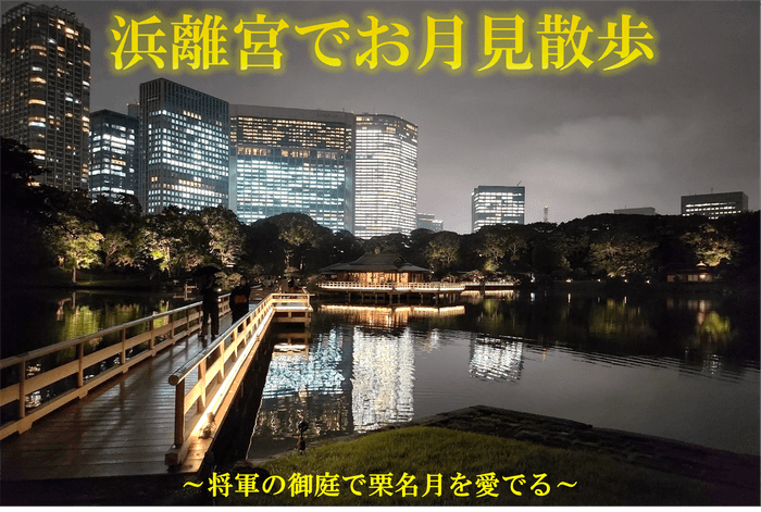 過去のライトアップの様子