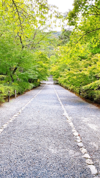 嵐山の近隣の観光スポット