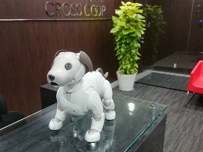 CROSSCOOP 六本木オフィスのaibo