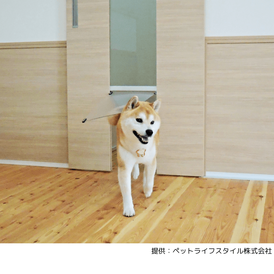 愛犬家住宅事例