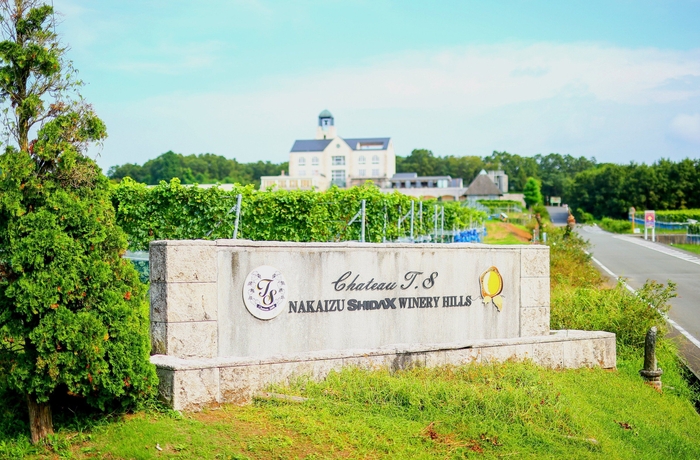 中伊豆ワイナリー シャトーT.S