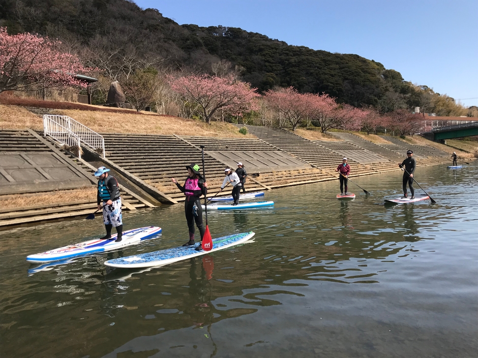 ワイワイと川を上って、水上花見