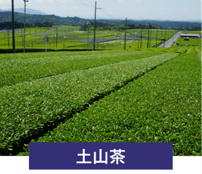 土山茶