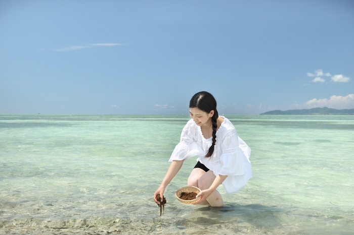 【星のや竹富島】もずく採り体験