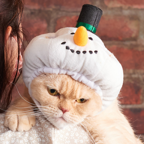 【NEW】「ペットヘッドギア スノーマン」価格：539円／雪だるまデザインのほっかむりタイプのペット用帽子です。耳を通す穴が開いています。