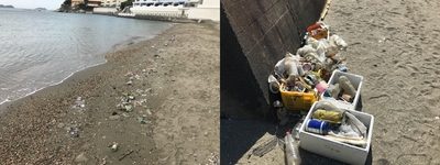 和歌浦・片男波海水浴場の漂着ごみ
