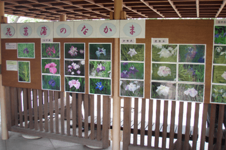 過去の展示の様子