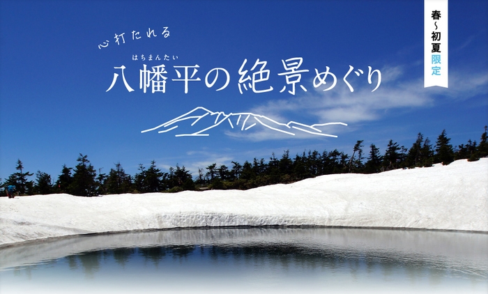 「月刊旅色」3月号:八幡平の絶景めぐり