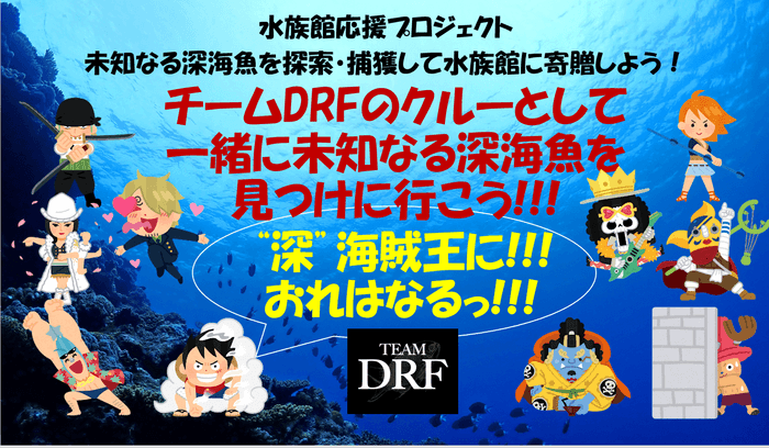 プロジェクトタイトル