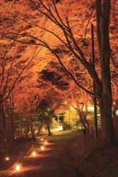 京都・大津市内より一足早く、 比叡山の紅葉がまもなく見頃を迎えます！