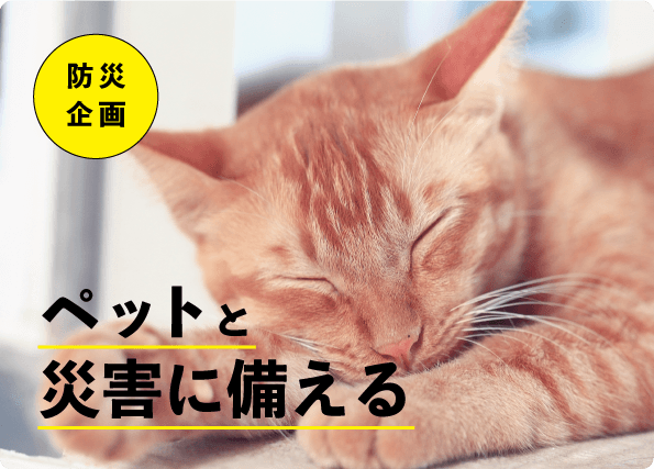 『ペットと災害に備える』