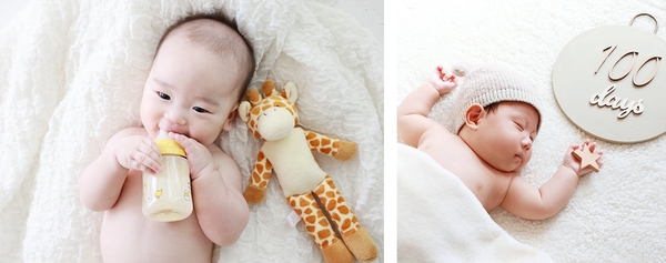 写真：ライフスタジオ