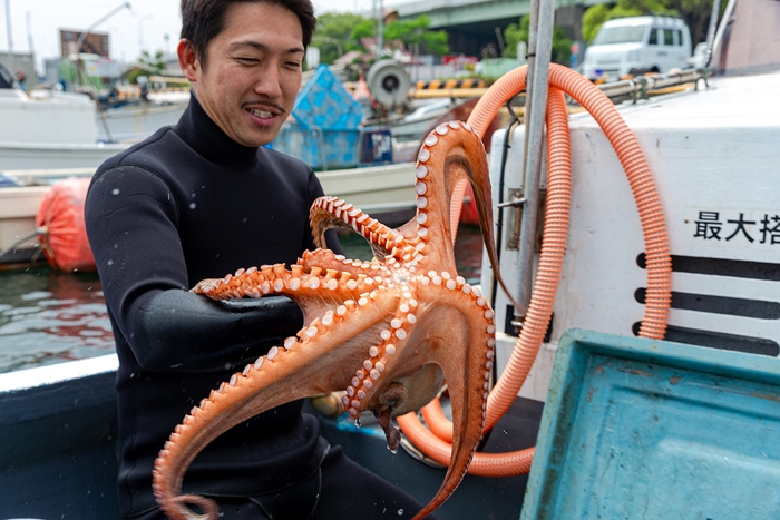 関門海峡たこ