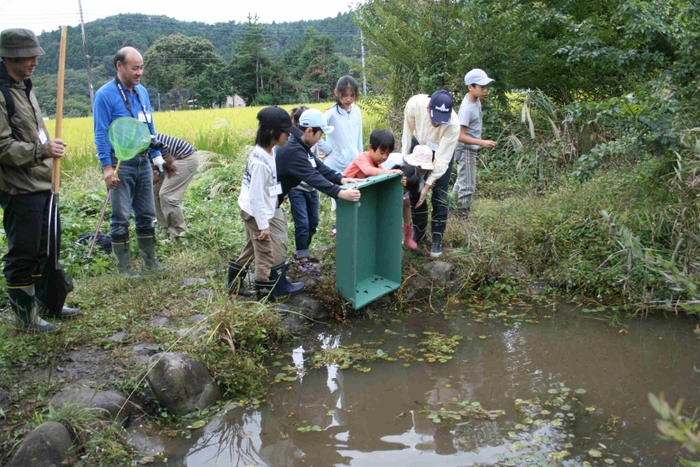 水棲昆虫をビオトープに戻す様子