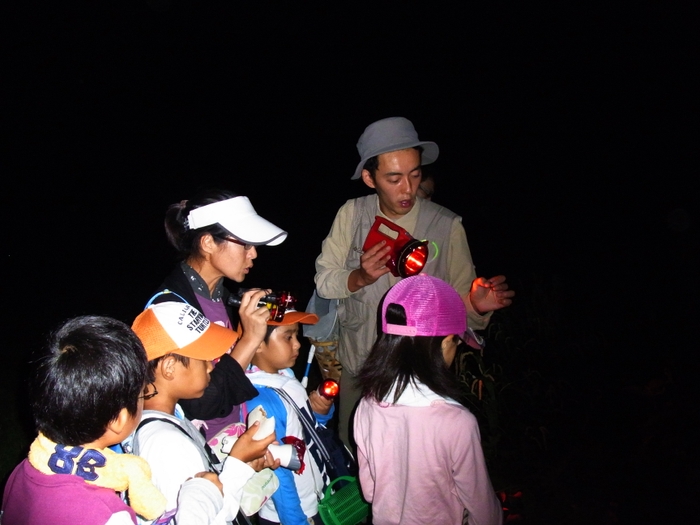 夏の生物を観察（過去の開催時の様子）