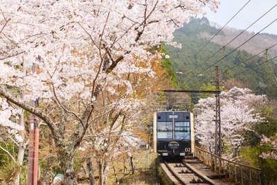 叡山ケーブル