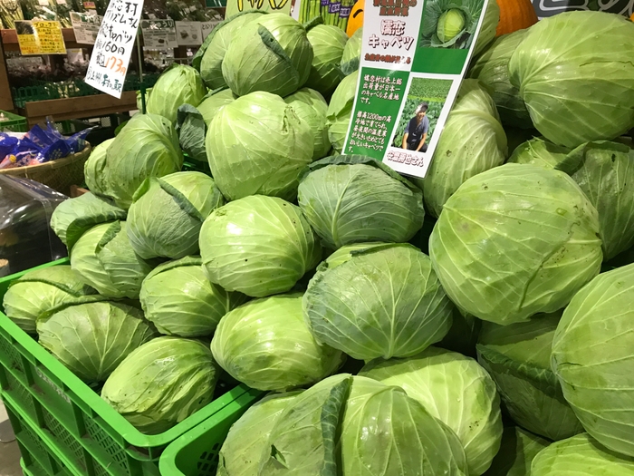 野菜イメージ