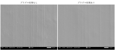 写真6. 表面の電子顕微鏡画像(1,000倍)