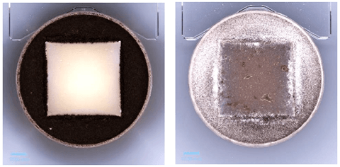 提供する画像の例。左が防かび加工品(判定0)、右が未加工品(判定5)  ※判定はJIS Z2911の基準による＝下表参照