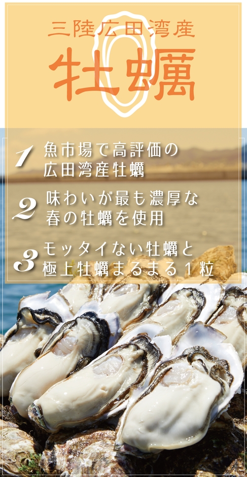 三陸沖広田湾牡蠣