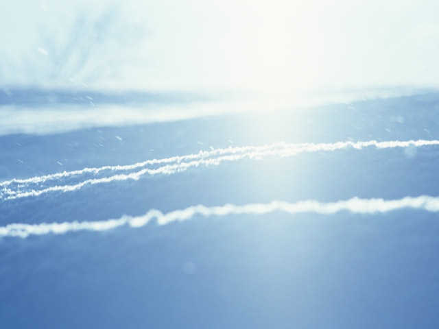 White(ホワイト) 雪&光