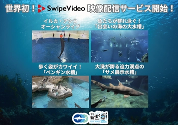 世界初！「SwipeVideo」を使用した 新映像配信サービスがスタート！ 2021年10月11日(月)より配信開始