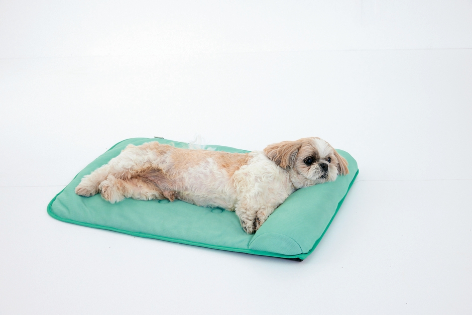 あごのせできる「枕付き」も人気!COL:ミントグリーン。