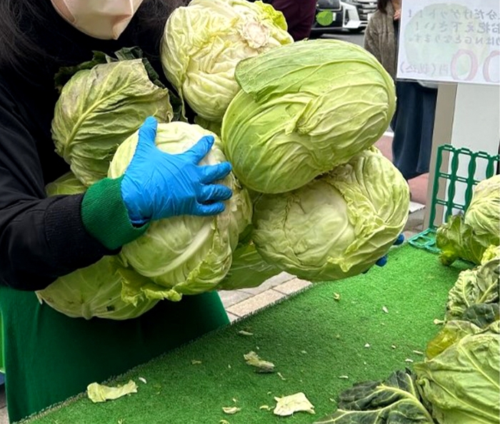 キャベツ抱え込み放題(3/9~計4回)