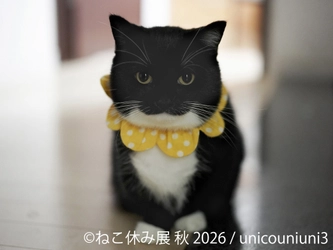 SNSで人気の猫作品が名古屋に集結！「ねこ休み展 秋 2026」を 9/19(土)より開催！初参加の注目猫や特別POP UP EVENTも登場