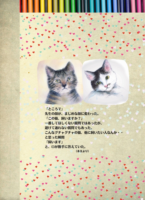 うら表紙