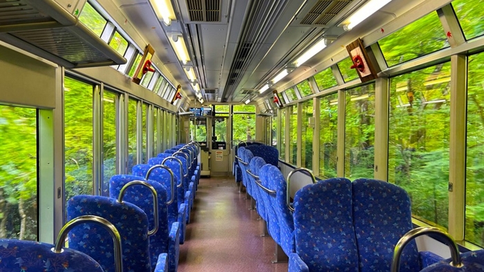 「もみじのトンネル」車窓からの風景