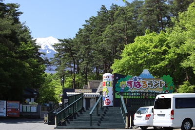 新緑が美しい園内