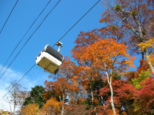 【マウントジーンズ那須】深紅に染まる秋の那須高原