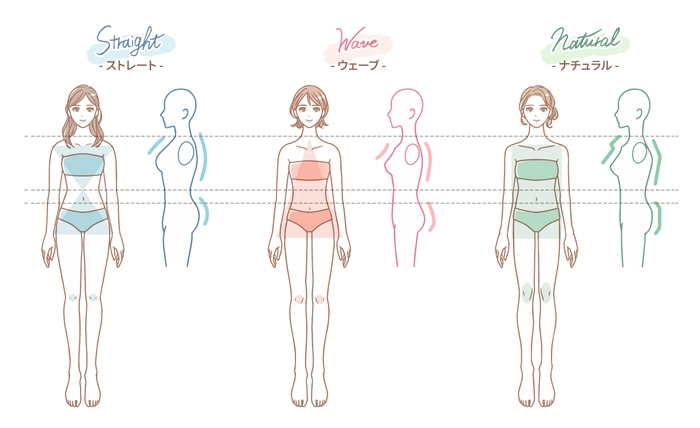 骨格診断とは？