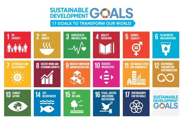持続可能な開発目標（Sustainable Development Goals：SDGs）