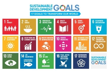 「持続可能な開発目標（SDGs）」イベント開催　国連の研究員と共に、これからの近大のあり方を考える